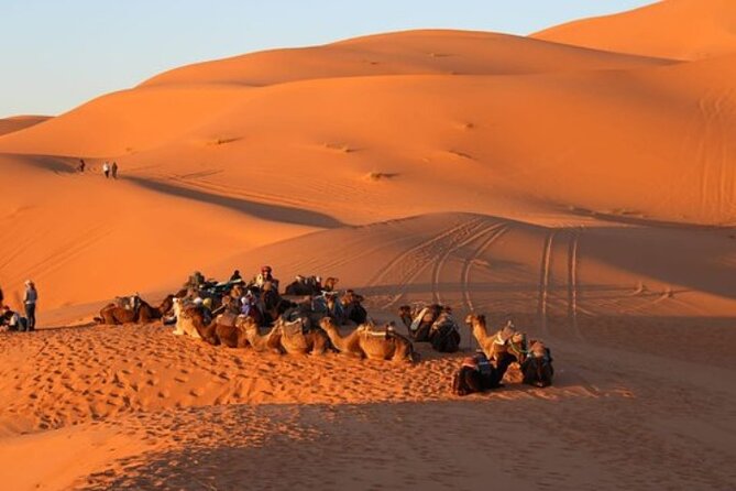 Camel ride in Tanger - Plage de Tanger and the camel setup