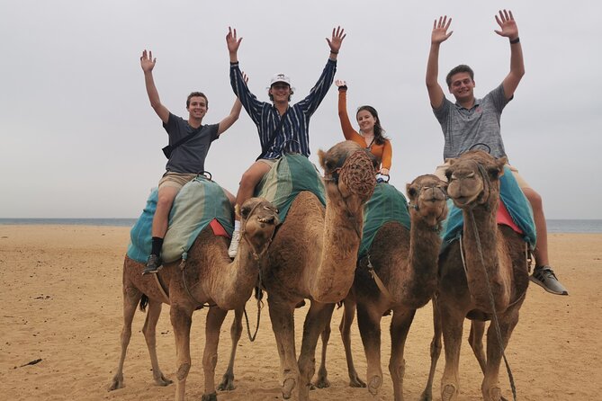 Camel ride in Tanger - The guides can shape the whole outing
