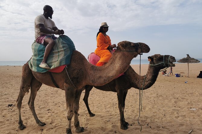 Camel ride in Tanger - Heat, rain, stairs, and practical comfort
