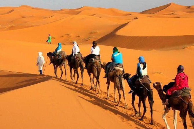 Camel ride in Tanger - Cap Spartel, the Atlantic lookout