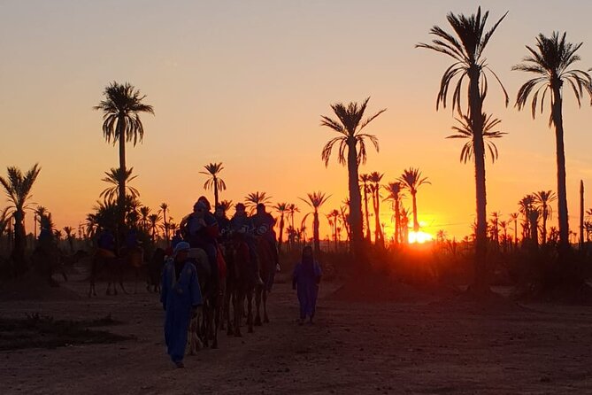 Camel ride Marrakech - A short camel outing from Marrakech