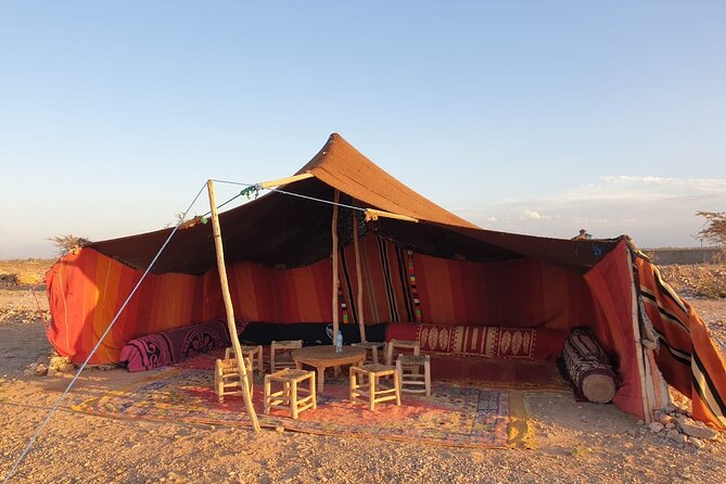 Camel ride Marrakech - Is $19.70 good value?