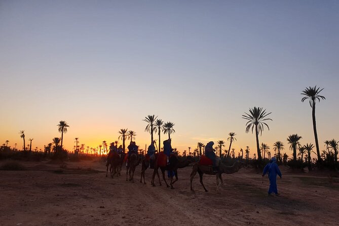 Camel ride Marrakech - Pickup, driving, and the Agafay meeting point