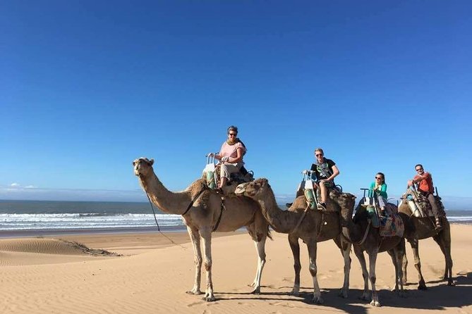 Camel Ride on the Beach of Essaouria - The First Stretch Along Essaouira’s Atlantic Shore