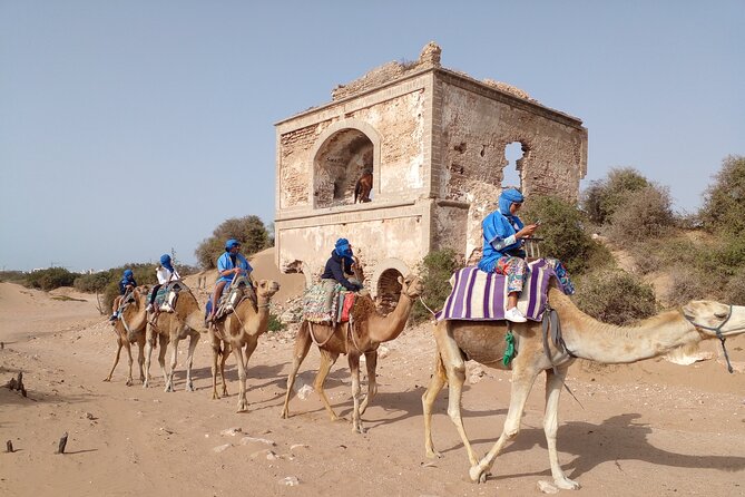 Camel ride or quad bike ride.. pick up, drop off. including - A beach ride with a Moroccan feel
