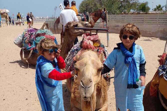 Camel ride or quad bike ride.. pick up, drop off. including - Oued Ksob and the bird habitat