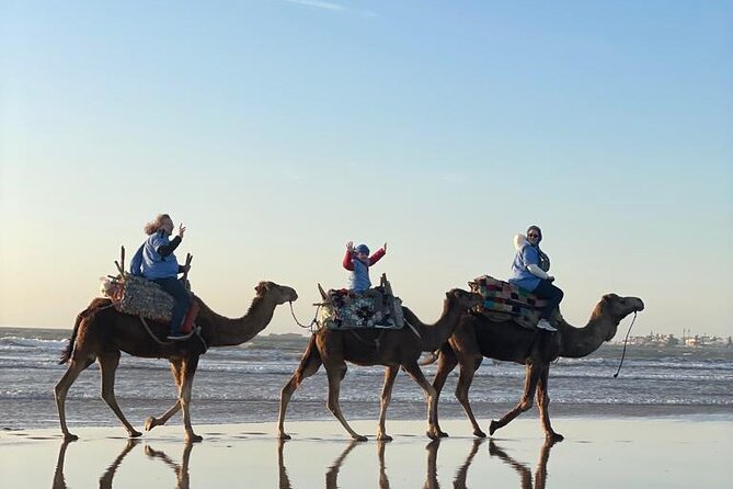 Camel ride or quad bike ride.. pick up, drop off. including - What the $22.10 price buys you
