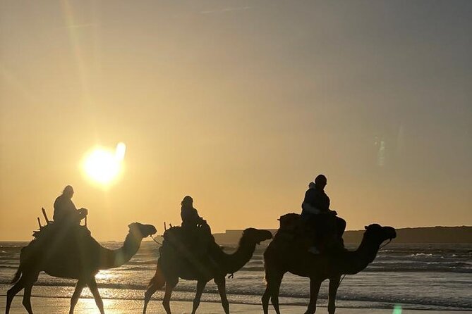 Camel ride or quad bike ride.. pick up, drop off. including - Who will enjoy it most