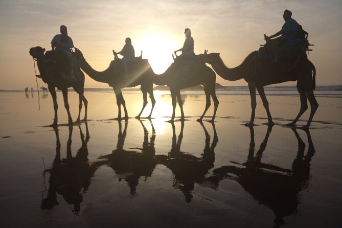 Camel ride or quad bike ride.. pick up, drop off. including - The Portuguese fort stop