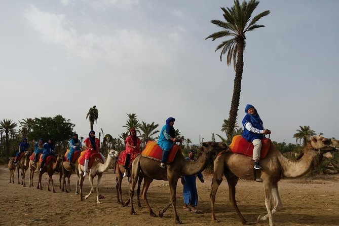 Camel Ride & Quad Bike tours in the palm grove of Marrakech - Key points at a glance