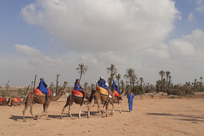 Camel Ride & Quad Bike tours in the palm grove of Marrakech - Leaving Marrakech for the Palmeraie