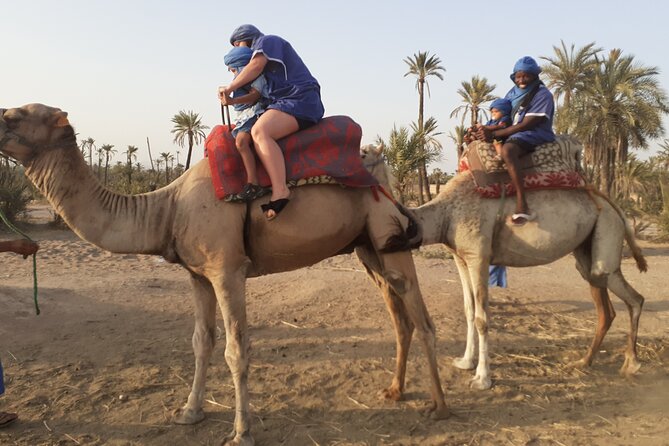 Camel Ride & Quad Bike tours in the palm grove of Marrakech - Mint tea before the engines start
