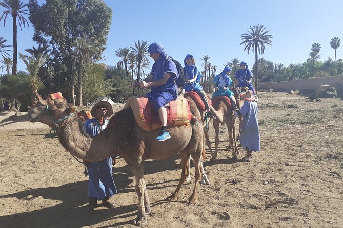 Camel Ride & Quad Bike tours in the palm grove of Marrakech - Taking control of the quad bike