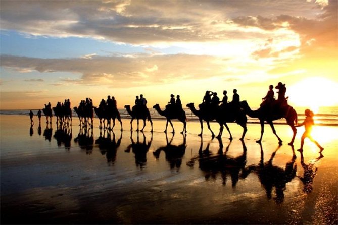 Camel Riding Agadir - From Agadir hotel to eucalyptus forest