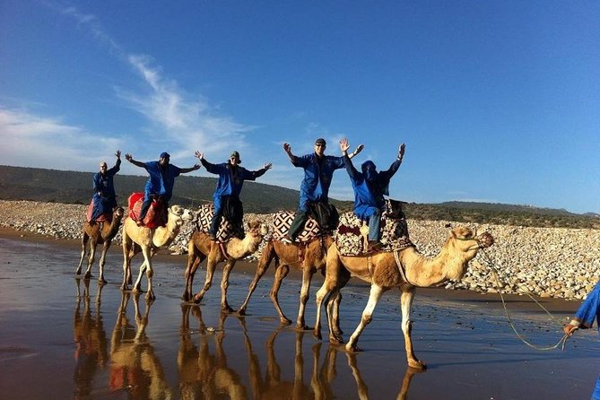 Camel Riding Agadir - Following the Souss Massa River
