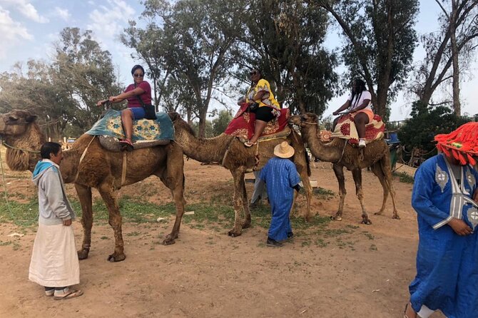 Camel Riding Agadir - Two hours, half-day, or a full day with lunch