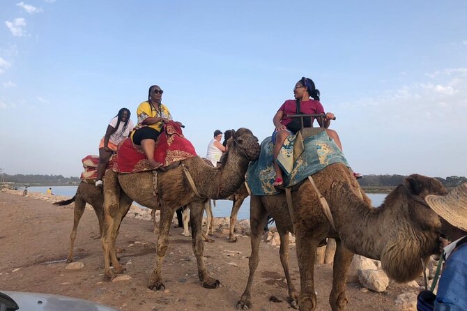 Camel Riding Agadir - Private groups and the minimum of two people