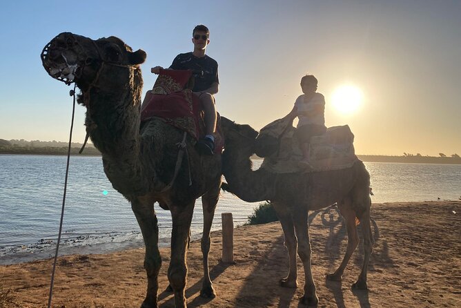 Camel Riding Agadir - Hotel pickup and timing details