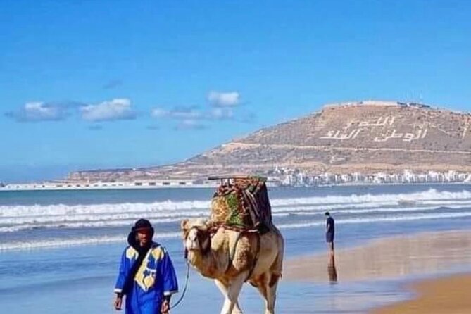 Camel Riding Agadir - What the 4.6 rating tells you, and what it does not