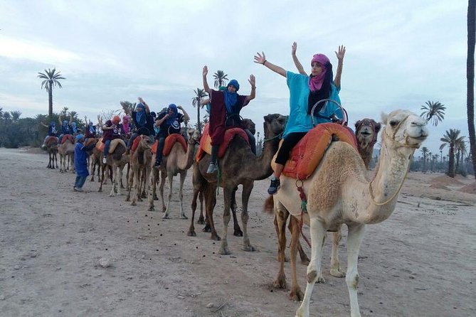 Camel riding in marrakech - How the two-hour timing really works