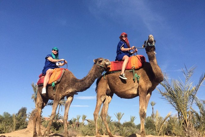 Camel Trek Around Marrakech Palmeraie - Riding through Marrakech’s Palmeraie