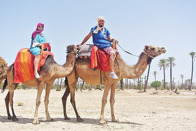 Camel Trek Around Marrakech Palmeraie - Timing, comfort, and practical preparation
