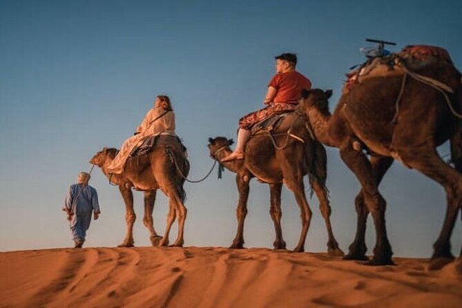 Camel Trekking & 1 Night in Merzouga Desert Camp - Meeting at Mouhou Apartments at 5 pm