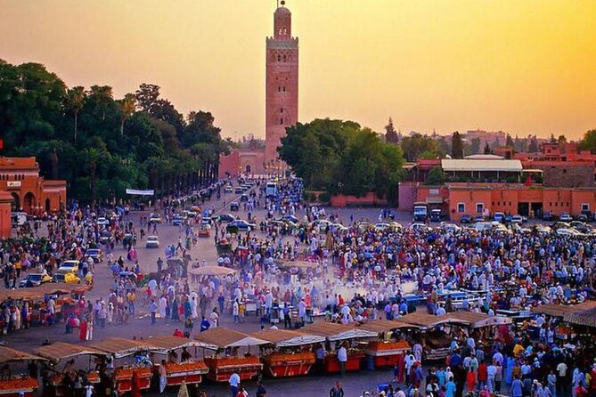 Casablanca 1-Day Layover Private Tour and Authentic Moroccan Bath - Marché Central brings you closer to daily city life