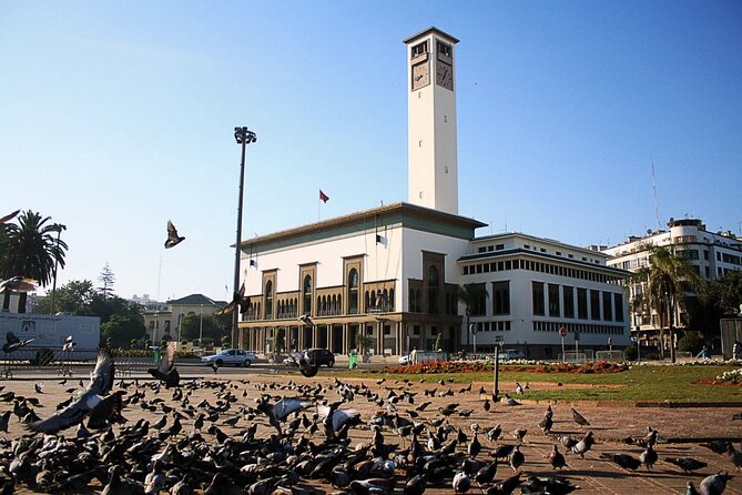 Casablanca Airport Layover Tour with Return to Airport or Hotel Dropoff - Central Market for everyday Casablanca