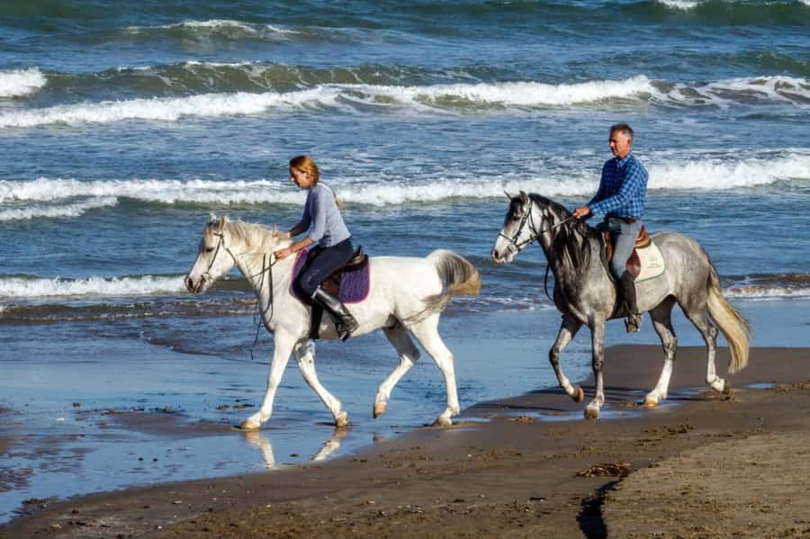 Casablanca: Beach Horseback Riding with Hotel Transfers - Key Points Before You Book