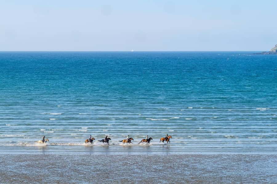 Casablanca: Beach Horseback Riding with Hotel Transfers - A Practical Choice for a Different Casablanca