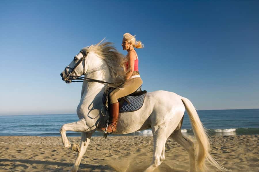 Casablanca: Beach Horseback Riding with Hotel Transfers - Guides Who Keep the Ride Comfortable