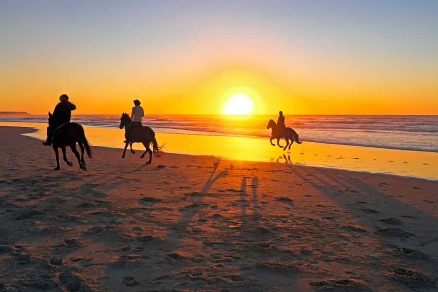 Casablanca: Beach Horseback Riding with Hotel Transfers - What the $46 Price Really Covers