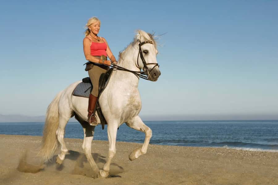 Casablanca: Beach Horseback Riding with Hotel Transfers - Families, Beginners, and Confident Riders