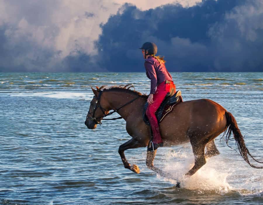 Casablanca: Beach Horseback Riding with Hotel Transfers - Pickup, Drop-Off, and Port Plans