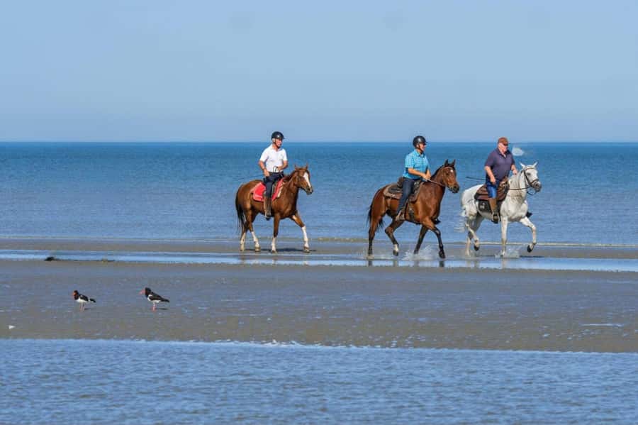 Casablanca: Beach Horseback Riding with Hotel Transfers - Arriving at the Riding Site