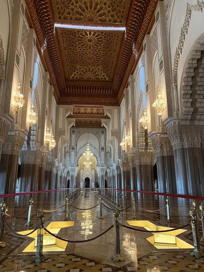Casablanca day trip from the cruise ship passenger. - What makes this Casablanca tour worth considering
