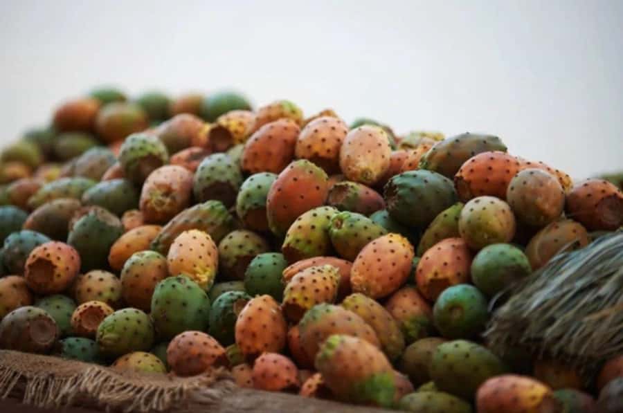 Casablanca: Food Tour with Tastings in Quartier Habous - Why this food tour works in Casablanca