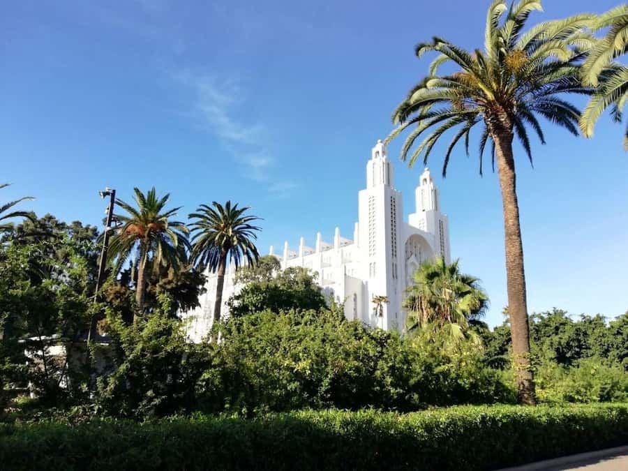 Casablanca Full-Day City Tour with round-trip hotel transfer - Key points before you book