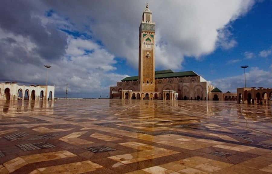 Casablanca Full-Day City Tour with round-trip hotel transfer - Rick’s Café and the Casablanca movie connection