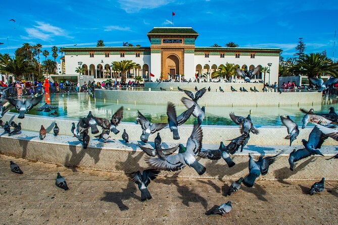 Casablanca Half-day guided tour - A drive through the city’s newer districts