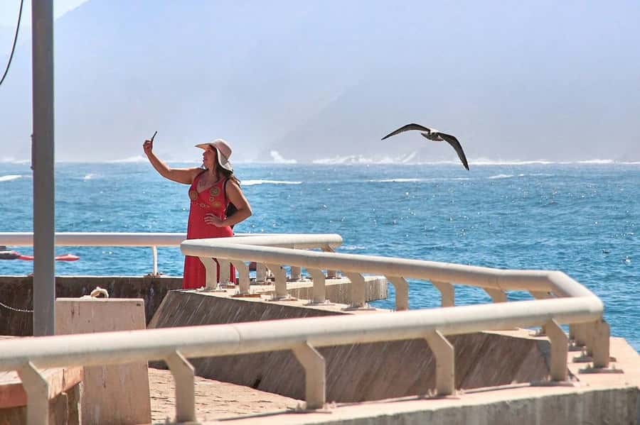 Casablanca: Private Guided Tour - Hassan II Mosque, Casablanca’s essential sight