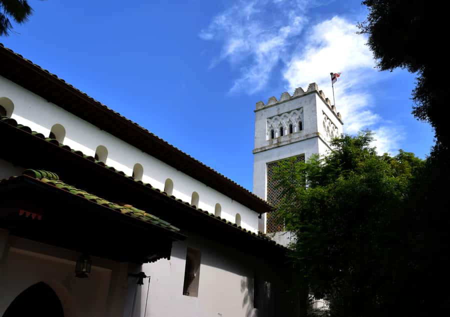 Casablanca: Tangier Day Tour by High-Speed Train - The return train and the cost of convenience