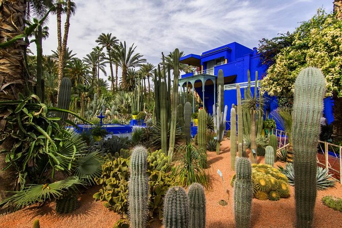 Casablanca to Marrakech Day Trip with Camel Ride - Bahia Palace and another optional admission