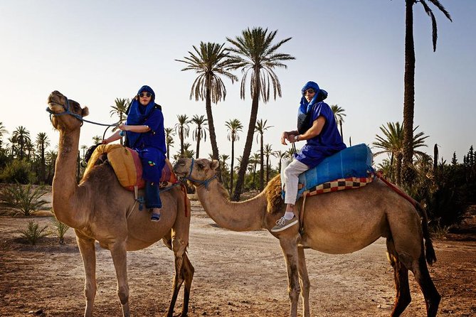 Casablanca to Marrakech Day Trip with Camel Ride - One hour in the souks