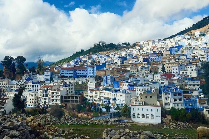 Chefchaouen Day Trip from Fes - Key points to know before booking
