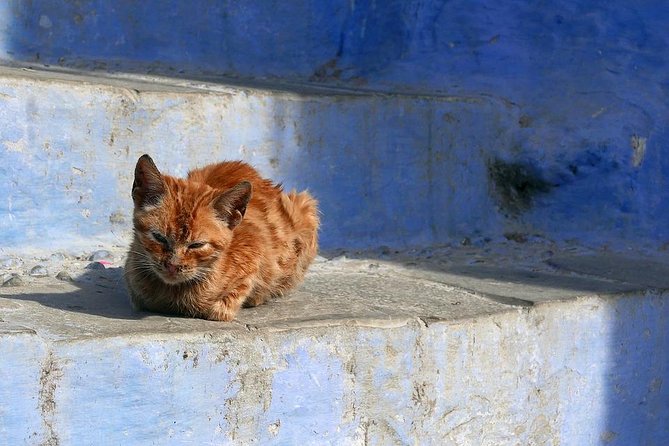 Chefchaouen Day Trip from Fes - Driver quality can shape the whole day