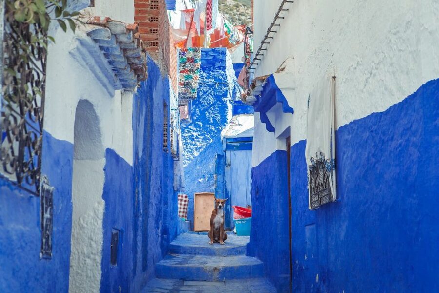 Chefchaouen Day Trip from Fez (Shared Group Tour) - Rass El Ma and the first feel of town