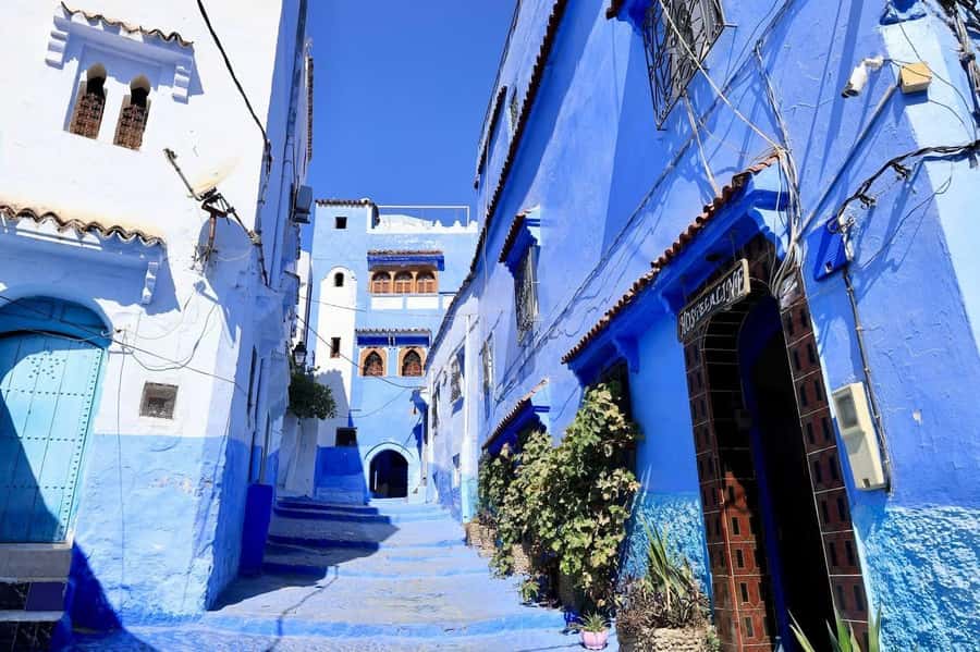 Chefchaouen tour guide - Price and what you receive for $27