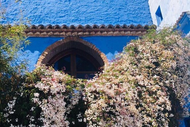 Chefchaouen Transfer to or from Fes - Is $79 per person good value?